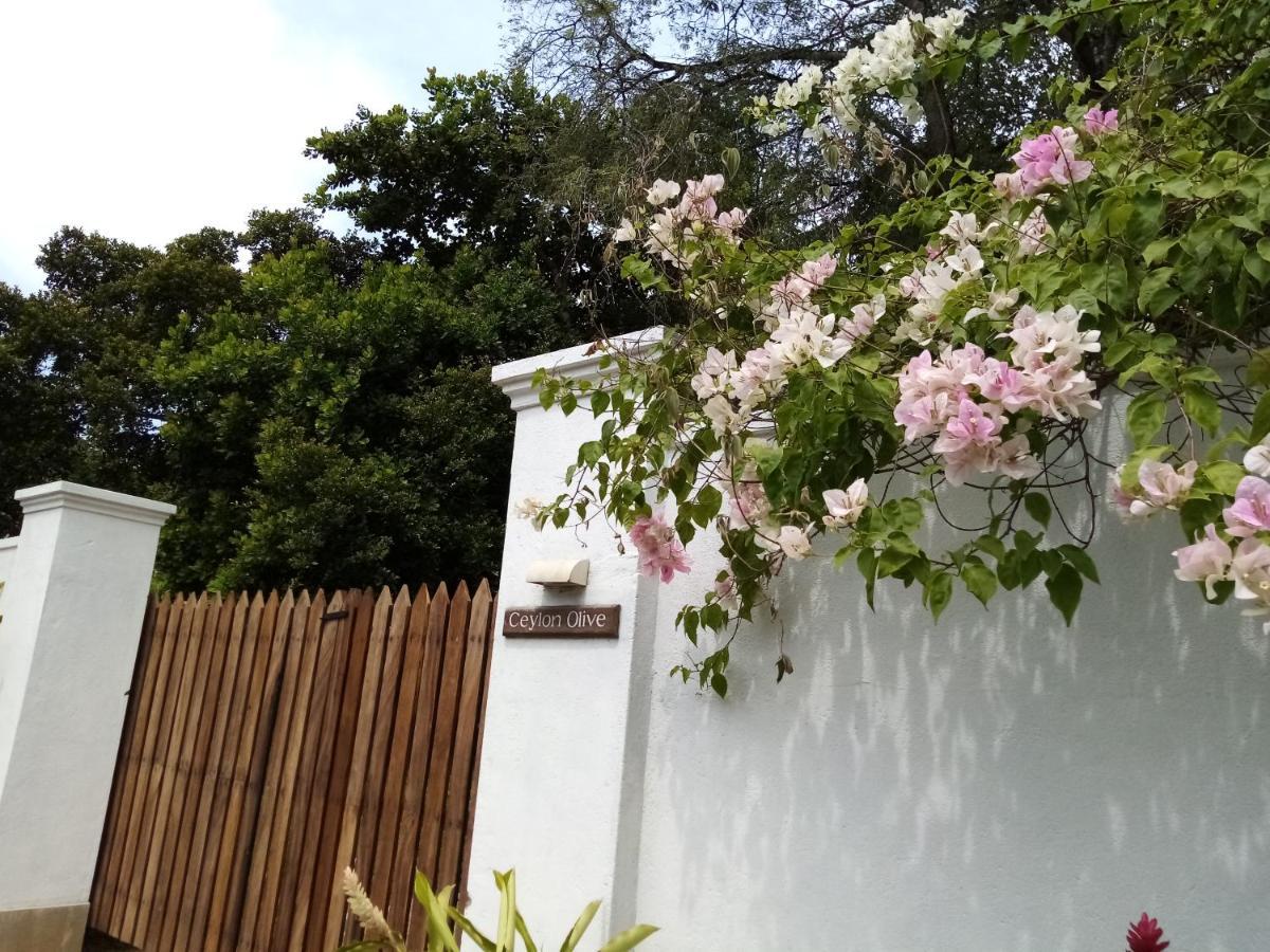 Ceylon Olive Galle Exterior foto